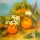 147 Lemons,  Oranges - 3-ply